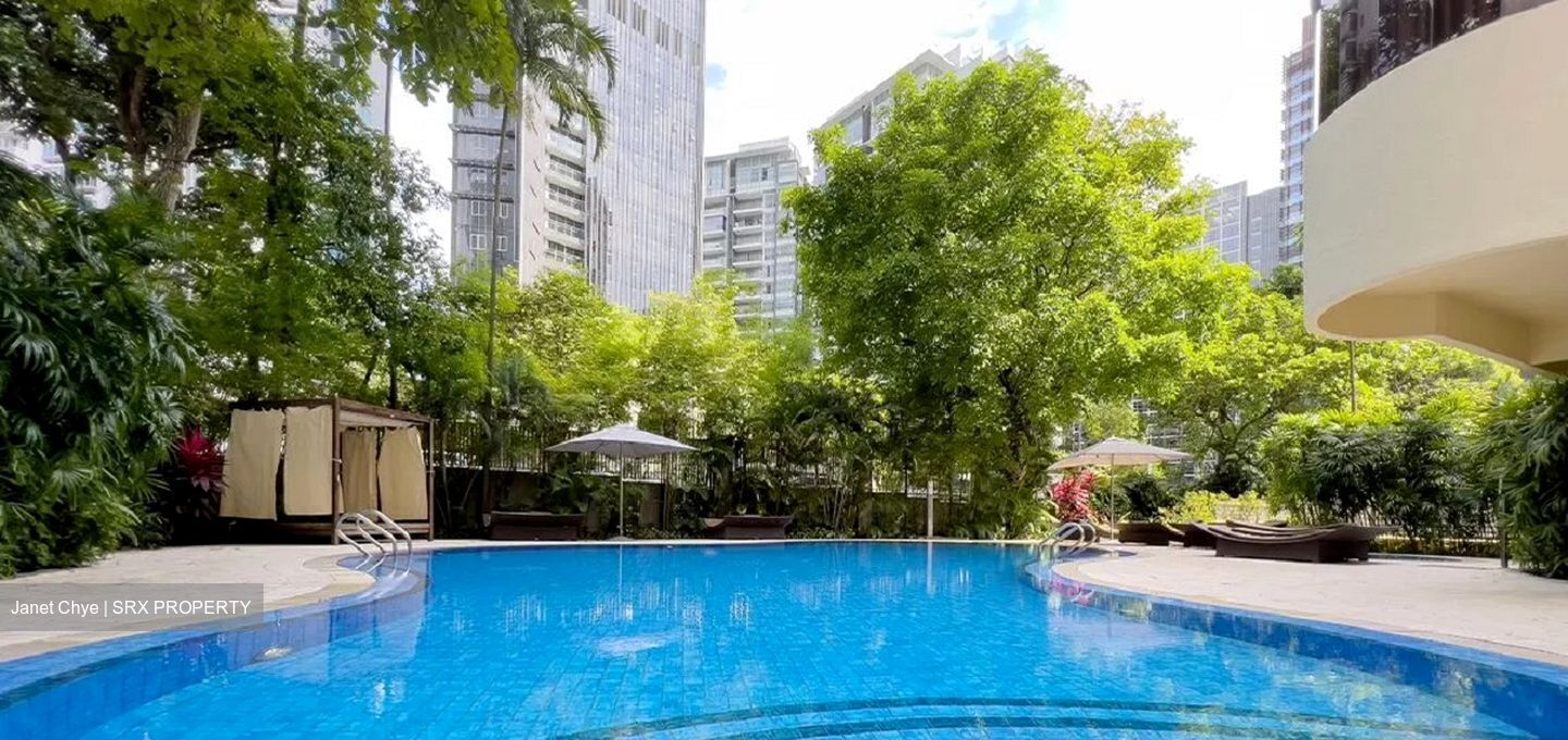 Mount Elizabeth Link (D9), Apartment #483385491